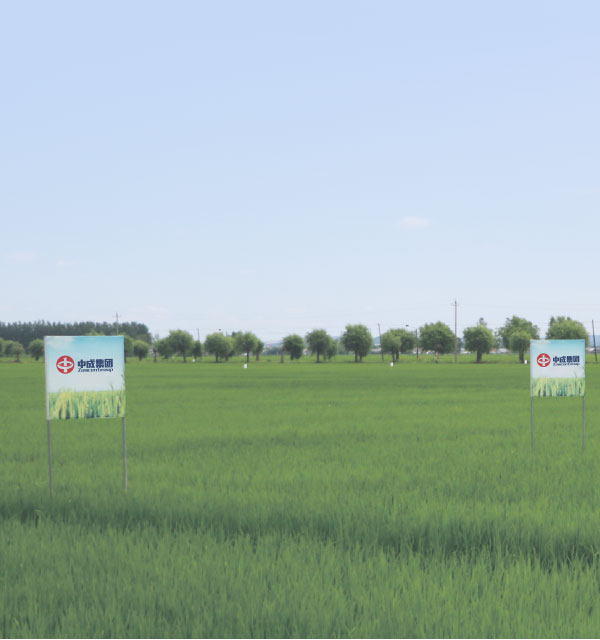 五常大米稻花 香2号